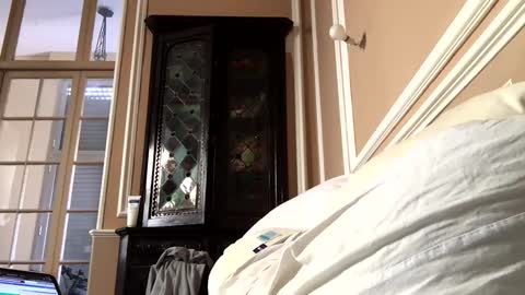 adrienfromparis online show from March 19, 2026, 8:07 am