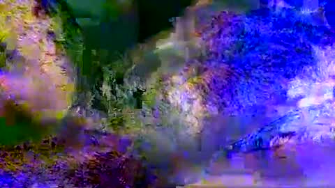 Snapshot of aestheticpleasure chatting on May 19, 2026, 11:05 am People call me AP online show from May 19, 2026, 11:05 am