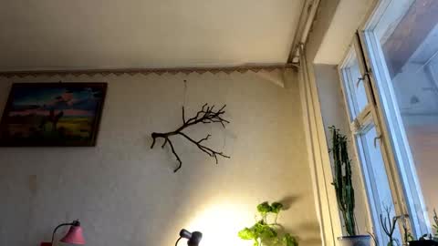 vegans taste better online show from October 7, 2025, 5:37 am