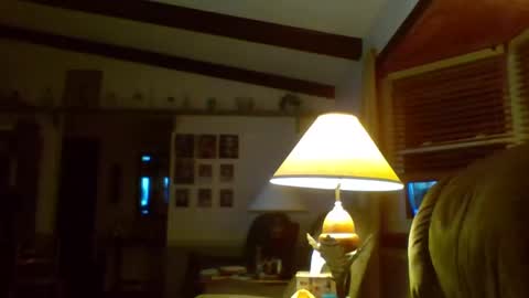 aguynrkfrd online show from January 2, 2025, 11:41 am