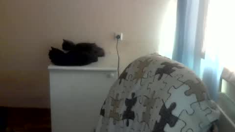 Anna online show from April 7, 2026, 10:37 am