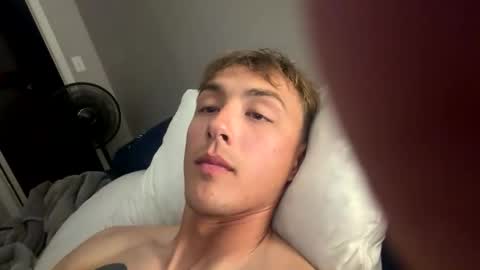 alaskanhorse online show from February 18, 2026, 7:59 am