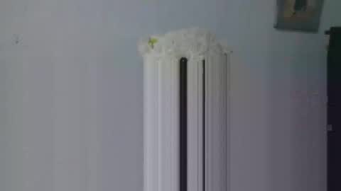 Snapshot of aleka_williams_ chatting on October 20, 2025, 11:27 pm aleka_williams_ online show from October 20, 2025, 11:27 pm