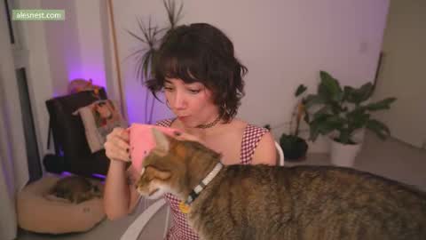 Ale online show from December 3, 2025, 12:51 am