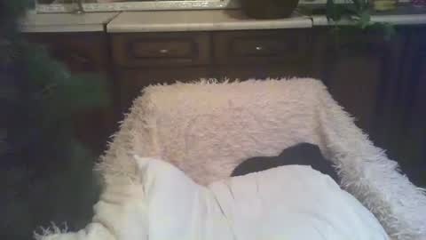 Luly online show from January 5, 2025, 3:00 am