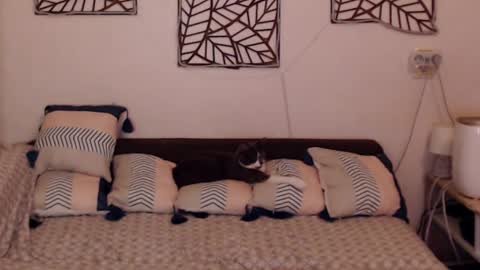 Snapshot of alessandra_foxy chatting on February 25, 2025, 8:09 pm Sandra online show from February 25, 2025, 8:09 pm