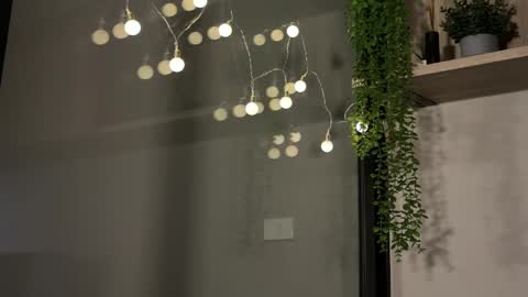 Alex online show from January 23, 2025, 6:17 am