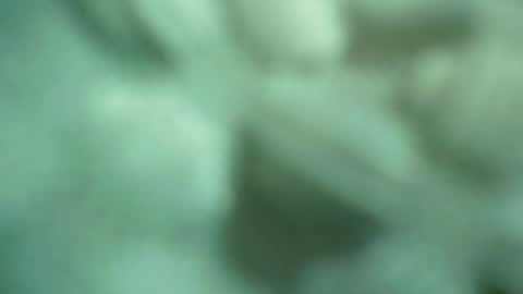 ali_asianguyuk online show from December 1, 2025, 1:32 am