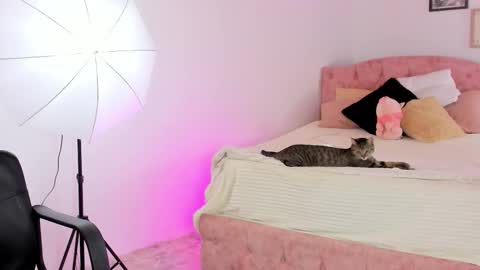 Snapshot of alicekiing_ chatting on February 21, 2026, 4:24 am ALICEKIING online show from February 21, 2026, 4:24 am