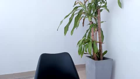 Alice online show from October 26, 2025, 3:18 pm