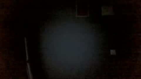 Chris online show from April 14, 2026, 11:44 pm