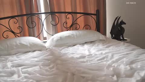 Alissa online show from February 19, 2025, 10:23 am