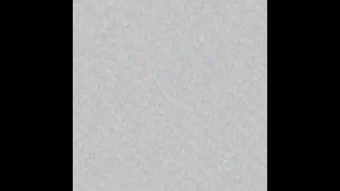 Alisse online show from February 13, 2026, 12:01 pm