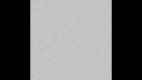 Alisse online show from February 25, 2026, 12:04 pm