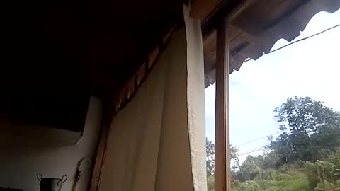 Alisson369  online show from February 13, 2025, 3:03 pm