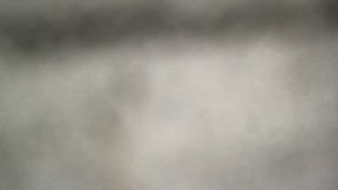 Snapshot of all_most_sane chatting on June 25, 2026, 6:34 pm all_most_sane online show from June 25, 2026, 6:34 pm