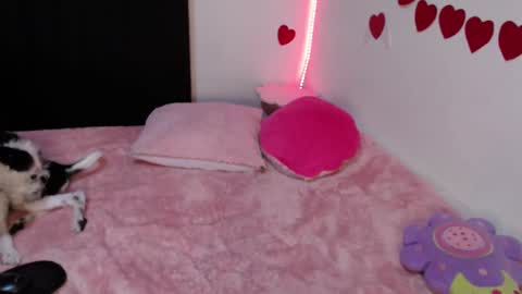 Snapshot of all_smiles_here chatting on February 23, 2025, 1:02 am Lola online show from February 23, 2025, 1:02 am