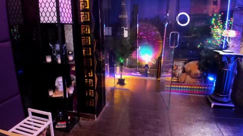 Snapshot of alma_pearl chatting on February 28, 2026, 8:37 am Alma online show from February 28, 2026, 8:37 am