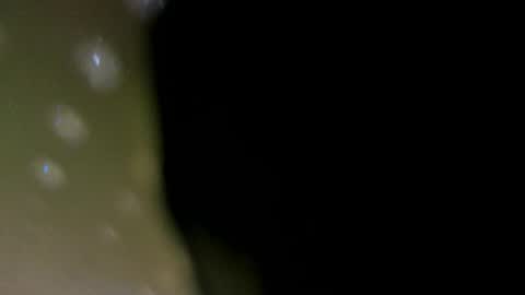 Snapshot of alotta_titties chatting on February 5, 2026, 8:41 am alotta_titties online show from February 5, 2026, 8:41 am