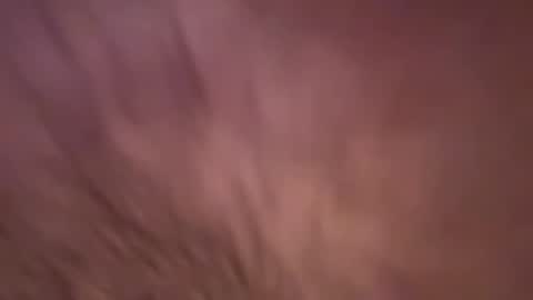 alphazack14 online show from February 19, 2025, 3:49 pm