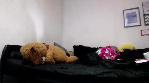 Alyn Maria online show from June 24, 2026, 6:51 pm