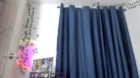 Snapshot of alyxroses chatting on January 12, 2025, 1:11 am    online show from January 12, 2025, 1:11 am