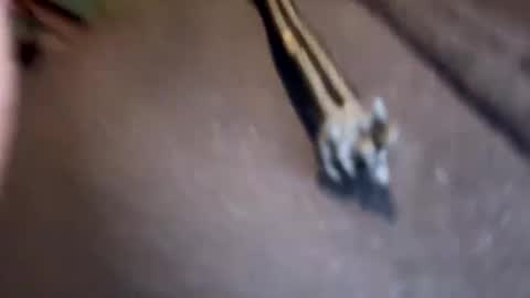 Jamesy online show from January 17, 2025, 3:11 pm