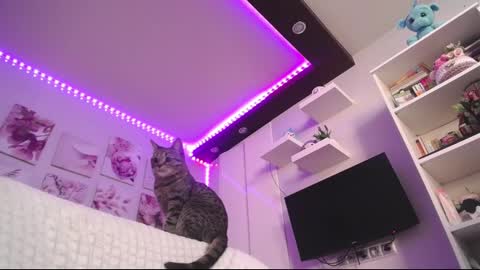 Snapshot of amazing_agness chatting on February 23, 2025, 7:00 am amazing_agness online show from February 23, 2025, 7:00 am