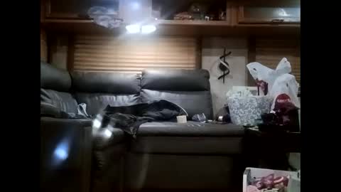 ambionce online show from October 21, 2025, 7:31 am