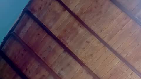 Amelia  Lucas online show from October 2, 2025, 3:19 pm