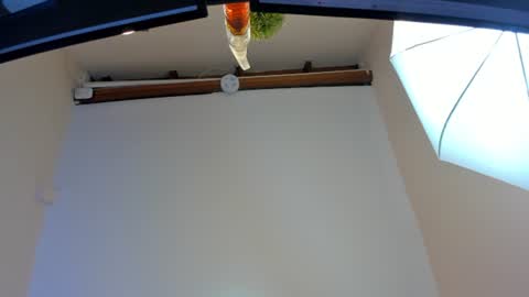 Snapshot of amybarton chatting on June 9, 2026, 6:08 pm My name is AMY... Nice to meet you thumb up me please its important online show from June 9, 2026, 6:08 pm