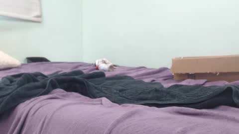 AnalKing online show from October 14, 2025, 10:43 pm