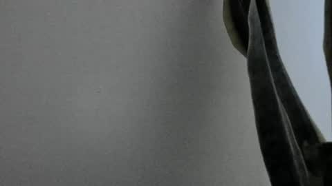 Snapshot of anapakerman chatting on February 13, 2025, 1:50 am Ana Pakerman online show from February 13, 2025, 1:50 am