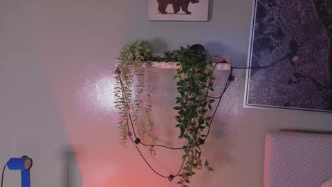 Kendra  online show from February 20, 2026, 10:16 am