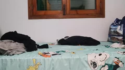 Andreu online show from December 1, 2024, 8:31 pm