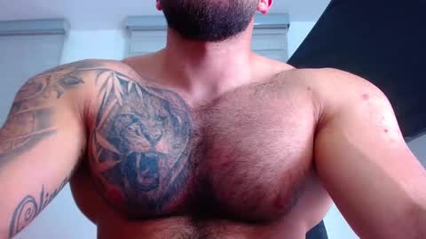 andrew_holden__ online show from February 11, 2025, 2:25 am