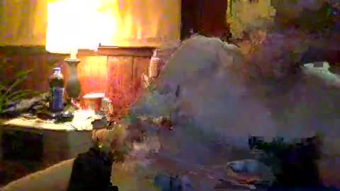 rayray32 online show from January 9, 2025, 3:36 am