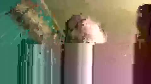 rayray32 online show from February 17, 2025, 5:25 am