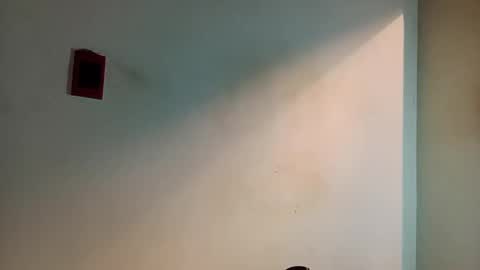 Andres online show from December 24, 2024, 1:38 am