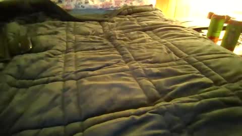 Snapshot of andywan94 chatting on January 20, 2025, 1:42 pm andywan94 online show from January 20, 2025, 1:42 pm