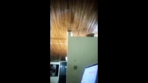 Snapshot of angel_dust9 chatting on February 3, 2026, 5:16 am Angel dust9 online show from February 3, 2026, 5:16 am