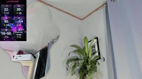 Carolina online show from October 31, 2025, 12:33 am