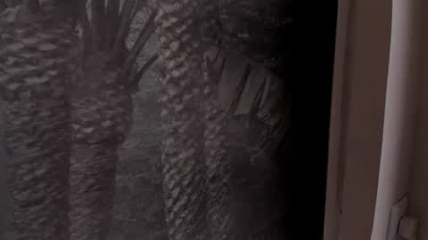 Snapshot of angelierose_ chatting on June 27, 2026, 12:33 pm Angelie Rose online show from June 27, 2026, 12:33 pm
