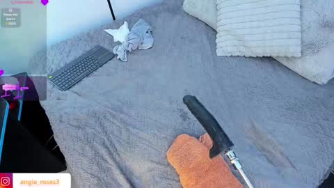 angiee roses online show from February 9, 2025, 2:49 am