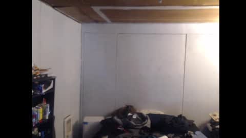 Ani online show from February 25, 2025, 11:08 am