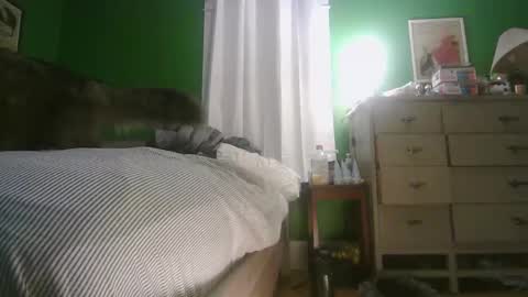 Snapshot of anilyseardor chatting on February 15, 2026, 11:30 am Ani online show from February 15, 2026, 11:30 am