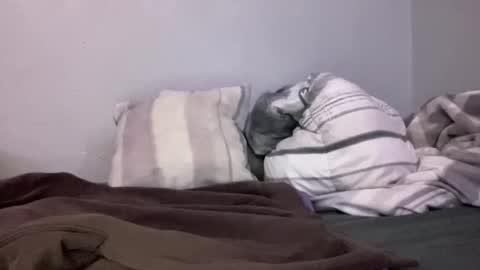 Animeboygirls online show from January 10, 2025, 5:05 am