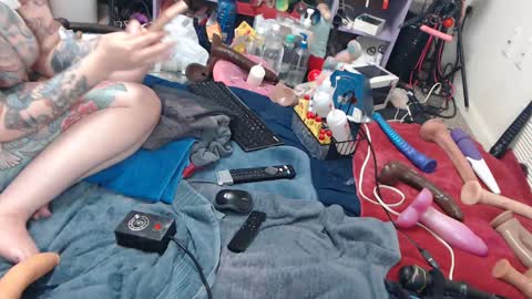 Twitter at animegamergrl. No vids for sale on Chaturbate. online show from June 8, 2026, 2:01 am