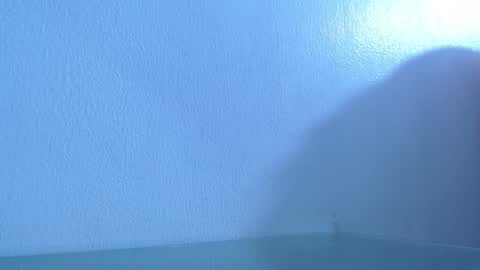 Snapshot of anisston_boods1 chatting on December 4, 2024, 8:12 am ana independent model online show from December 4, 2024, 8:12 am