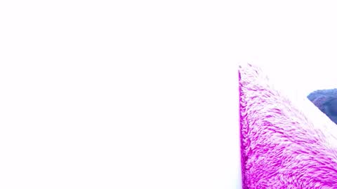 Snapshot of anisston_boods1 chatting on January 15, 2025, 7:37 am ana independent model online show from January 15, 2025, 7:37 am